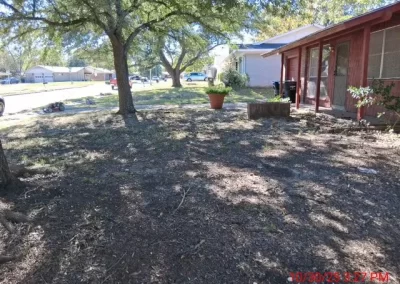 Affordable Backyard Landscape Design