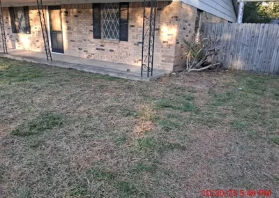 Affordable Landscape Designer