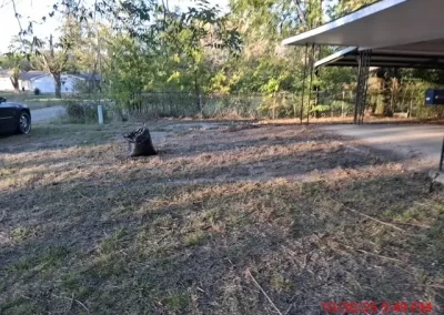 Dependable Backyard Landscape Design