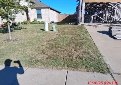 Reputable Landscape Designer