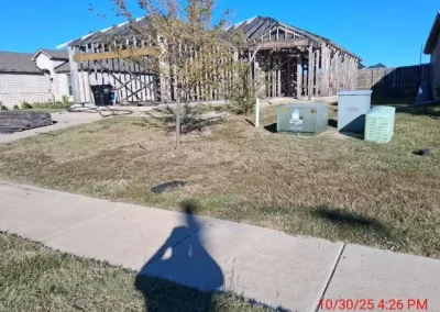 Reputable Modern Front Yard Landscaping