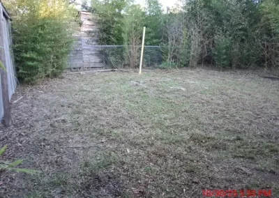 Superb Backyard Landscape Design